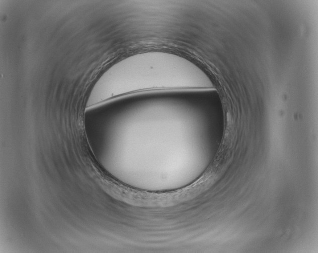 X0000073850048200608101236