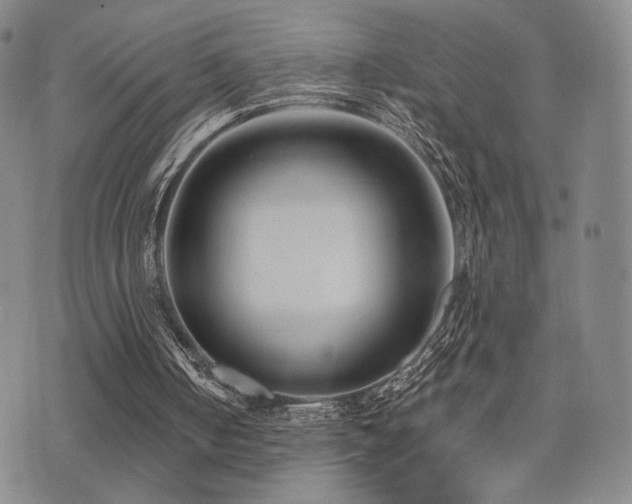 X0000073850050200608101235