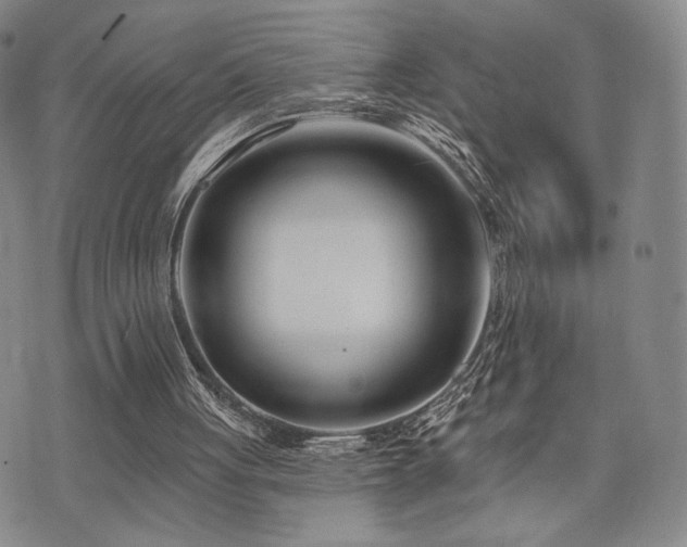 X0000073850051200608101235