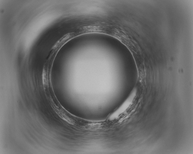 X0000073850052200608101235