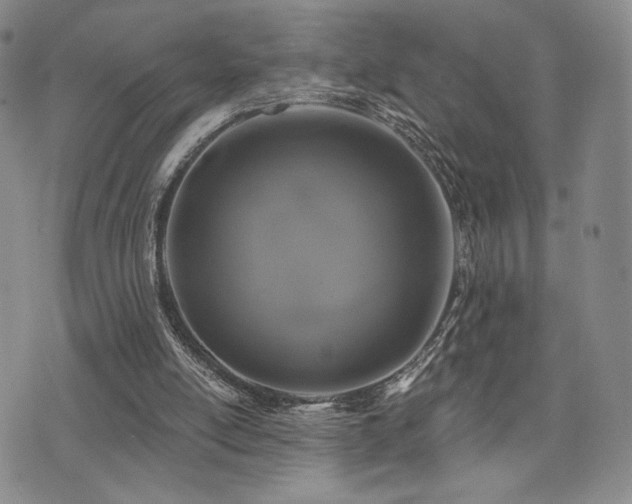 X0000073850054200608101235