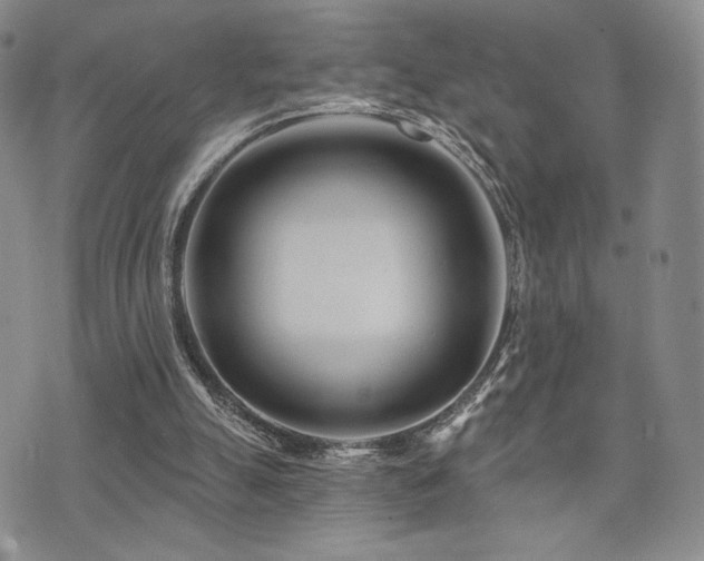 X0000073850055200608101235