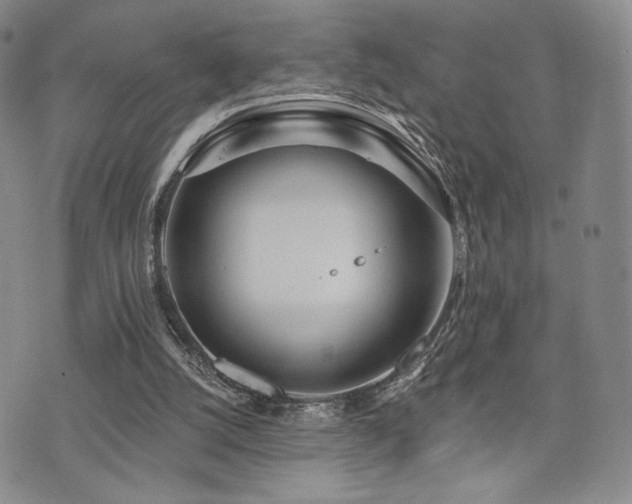 X0000073850056200608101235