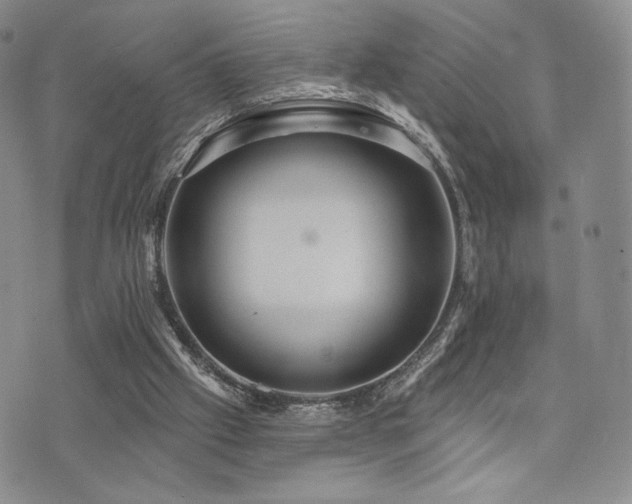 X0000073850057200608101235