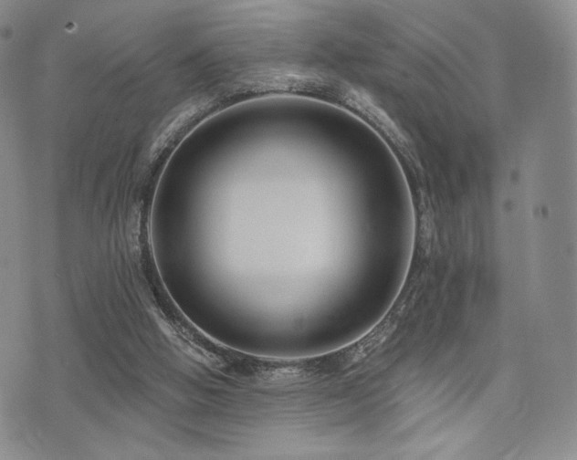 X0000073850058200608101235