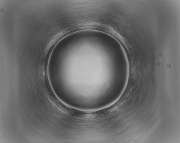 X0000073850059200608101235