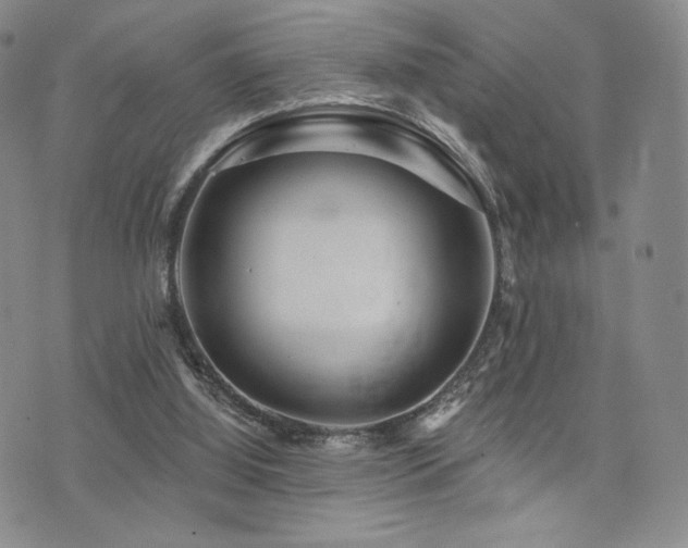 X0000073850060200608101235