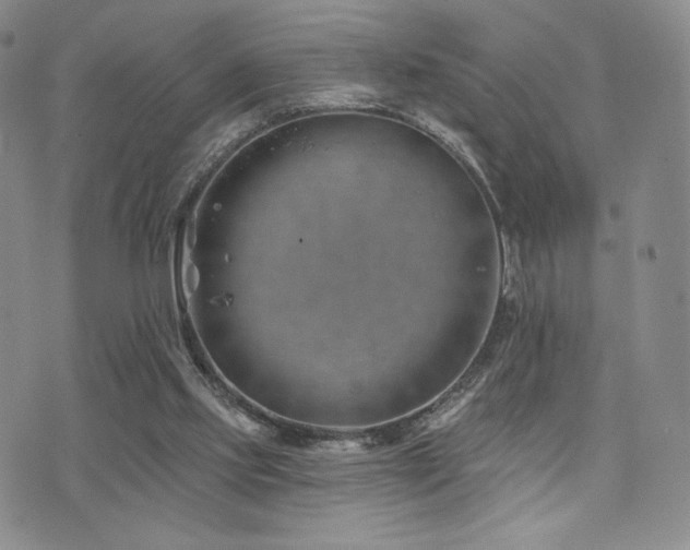 X0000073850061200608101235