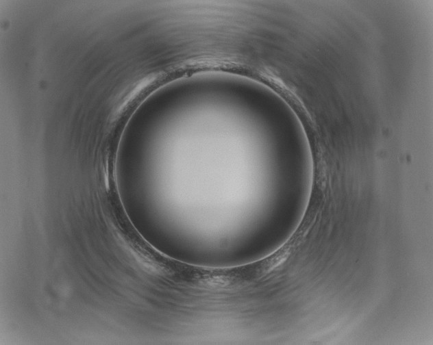 X0000073850062200608101235