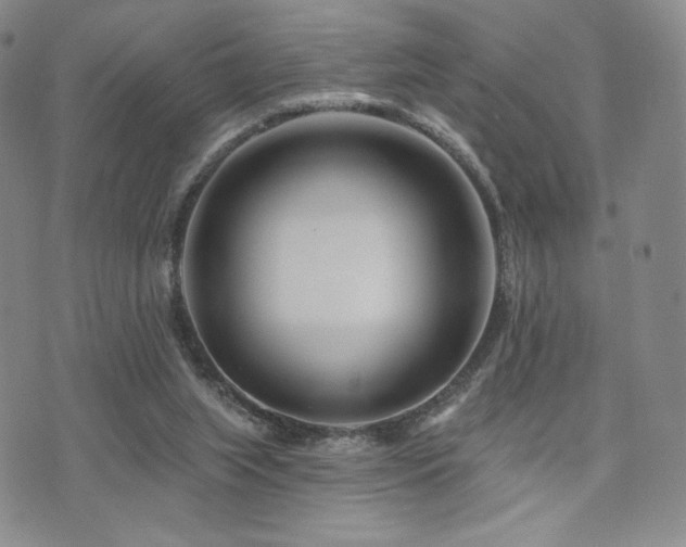 X0000073850063200608101235