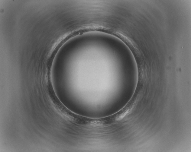 X0000073850064200608101236