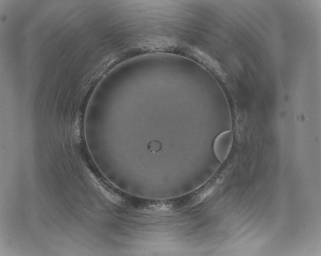 X0000073850065200608101236