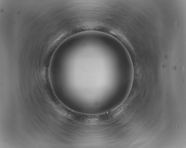 X0000073850066200608101236