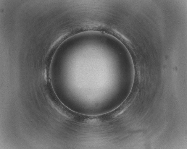 X0000073850067200608101236