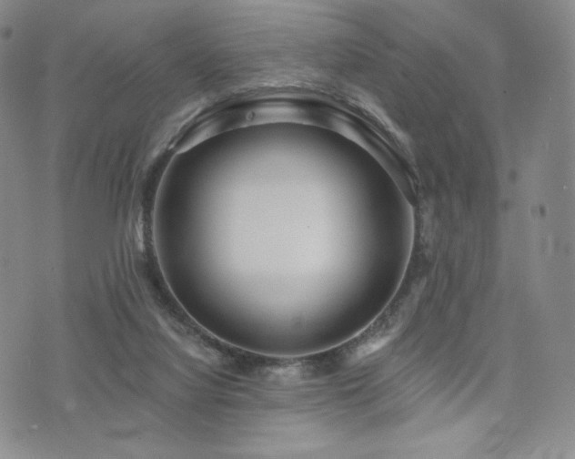 X0000073850068200608101236