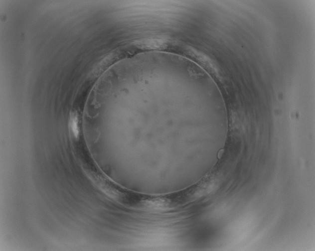 X0000073850069200608101236