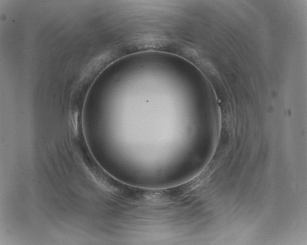 X0000073850070200608101236