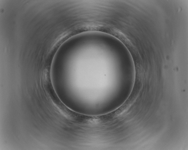 X0000073850071200608101236