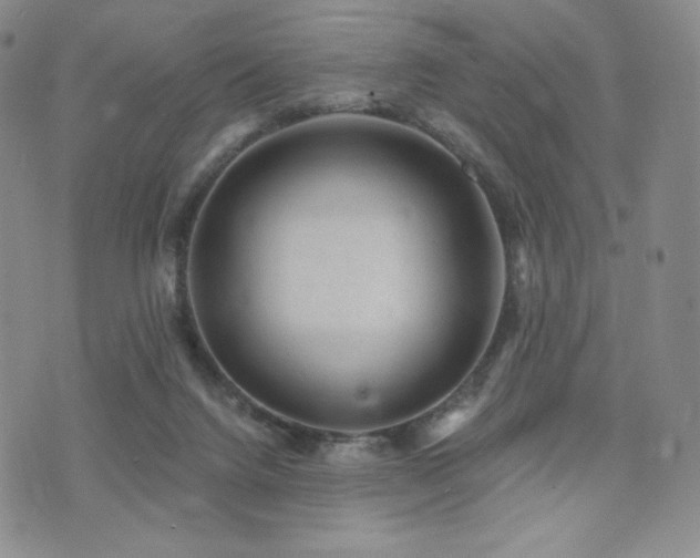 X0000073850072200608101236