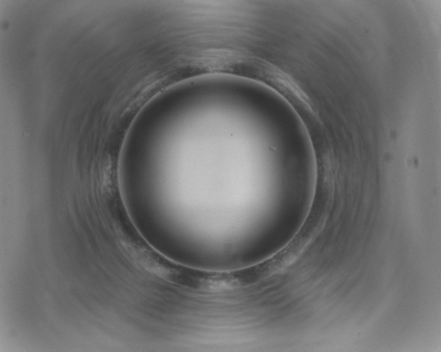 X0000073850073200608101236