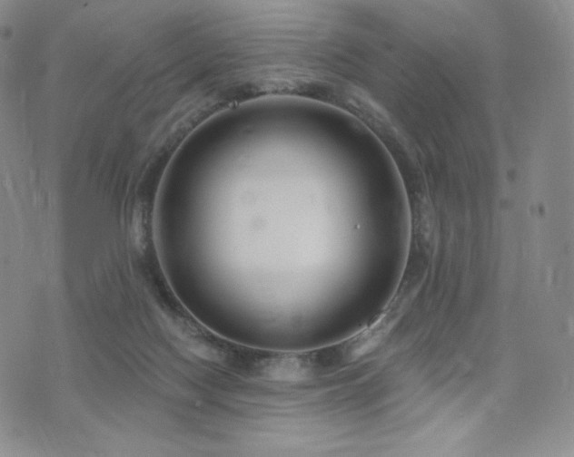 X0000073850074200608101236