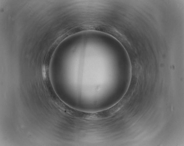 X0000073850075200608101236