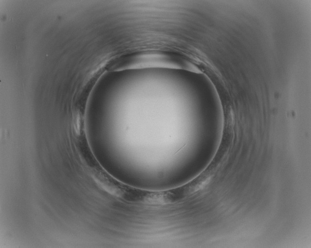 X0000073850076200608101236