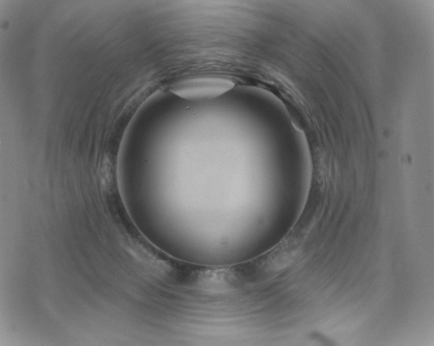 X0000073850077200608101236