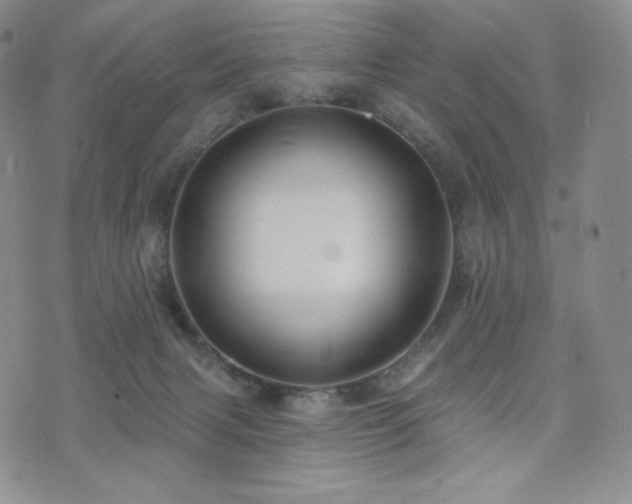 X0000073850079200608101236