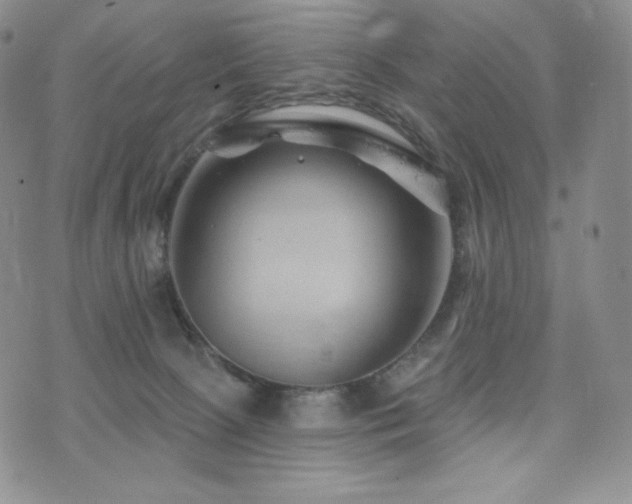 X0000073850081200608101236