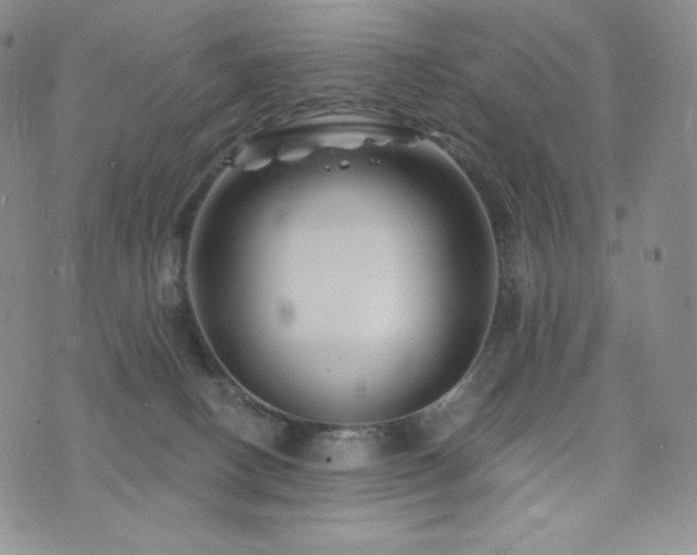 X0000073850082200608101236