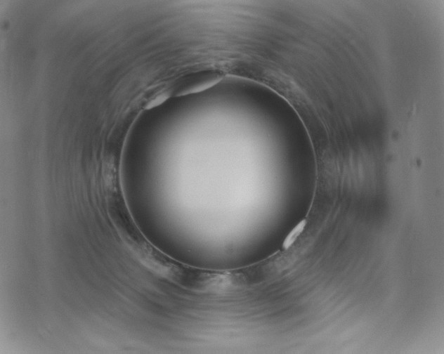 X0000073850083200608101236