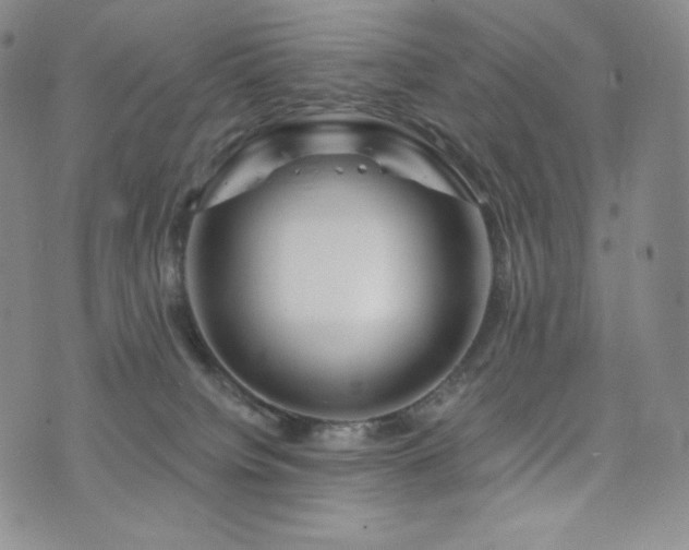 X0000073850084200608101236