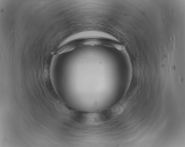 X0000073850085200608101236