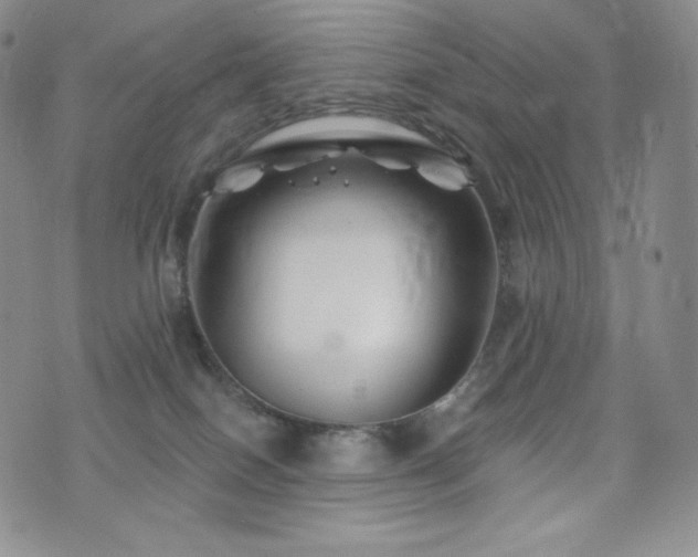 X0000073850086200608101236