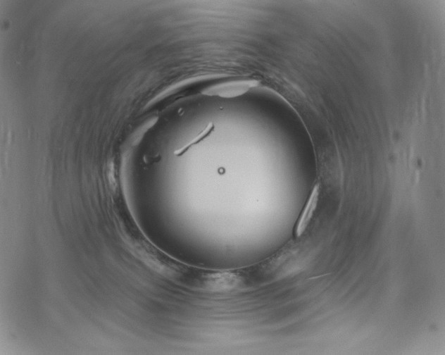 X0000073850087200608101236