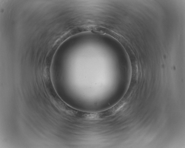 X0000073850088200608101236