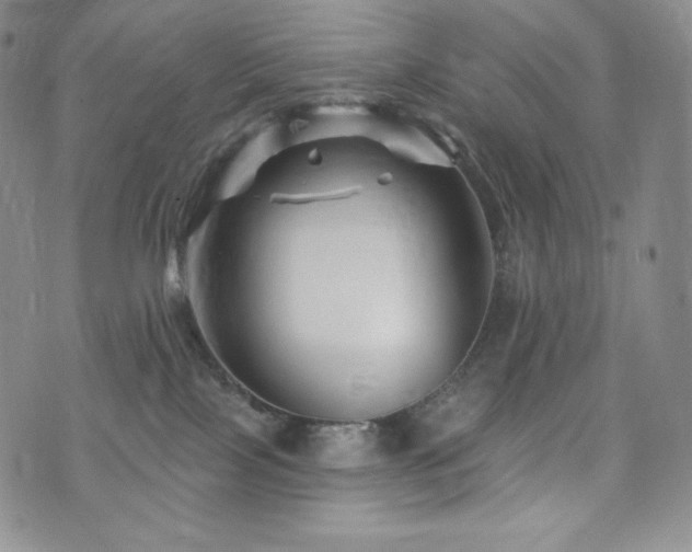 X0000073850089200608101236