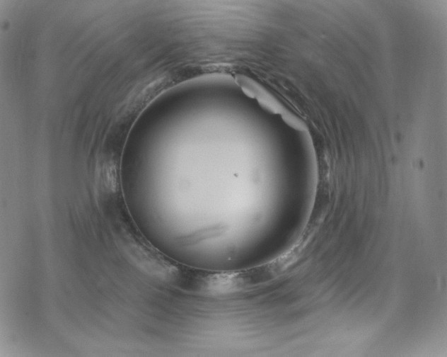 X0000073850090200608101236