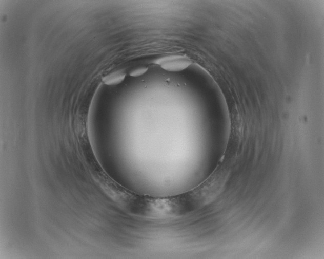 X0000073850091200608101236