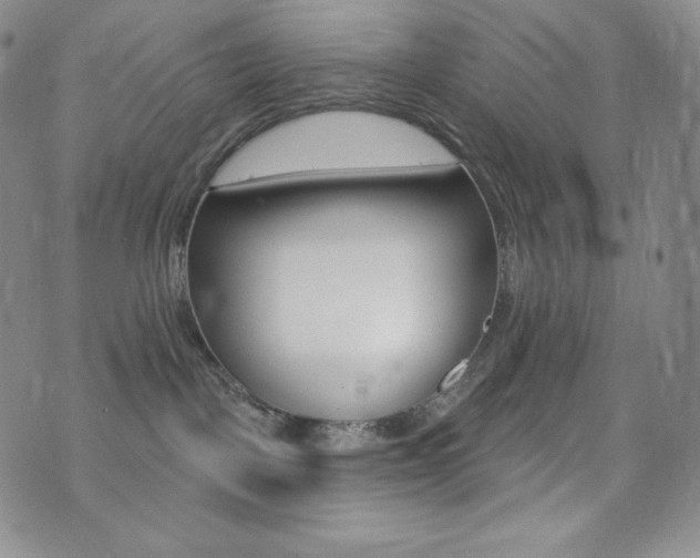 X0000073850093200608101236