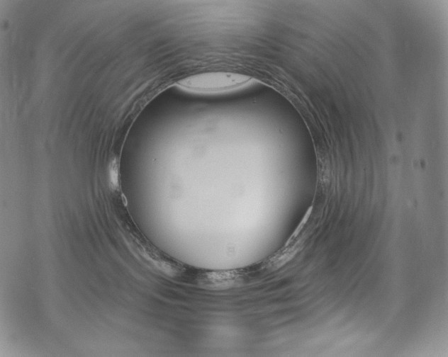 X0000073850095200608101236