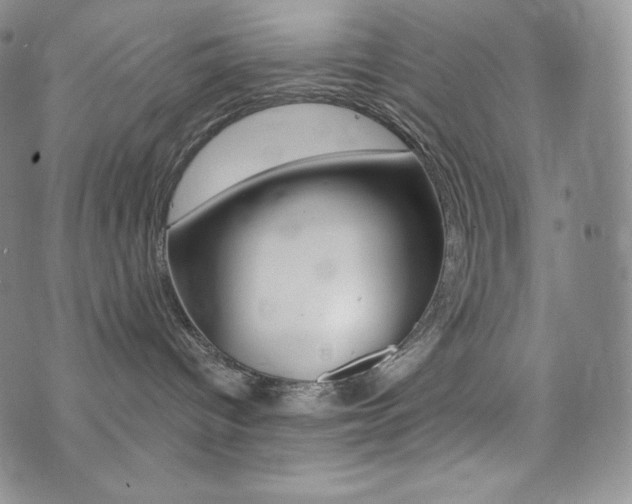 X0000073850096200608101236