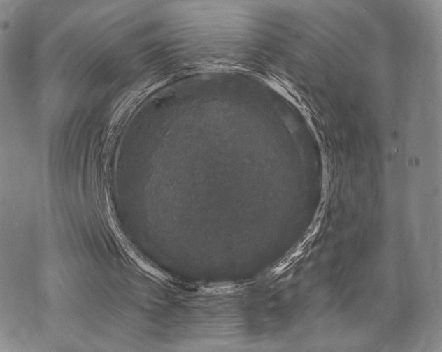 X0000073850097200608101235