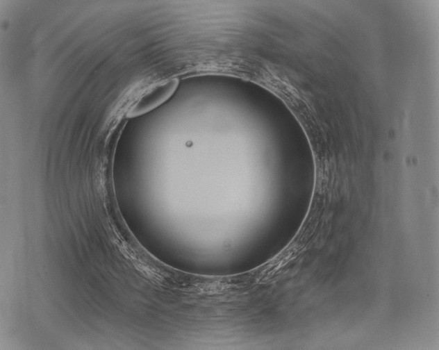 X0000073850098200608101235