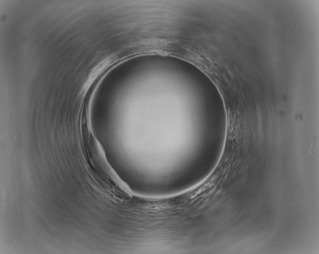 X0000073850099200608101235