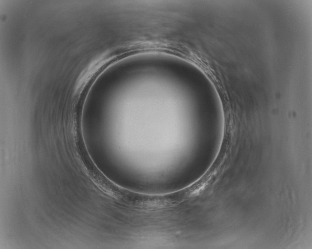 X0000073850103200608101235