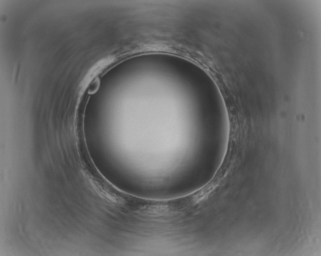 X0000073850104200608101235