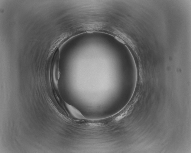 X0000073850105200608101235