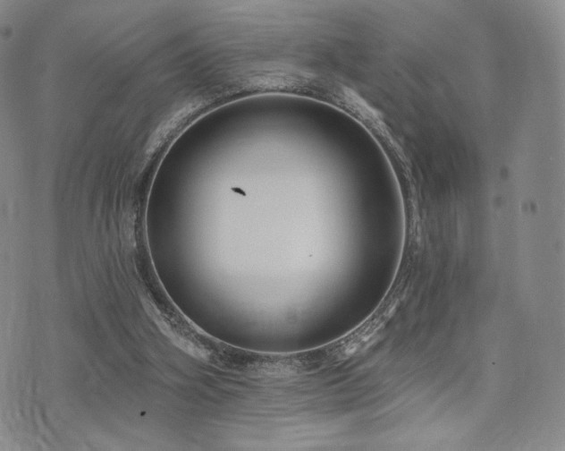 X0000073850106200608101235